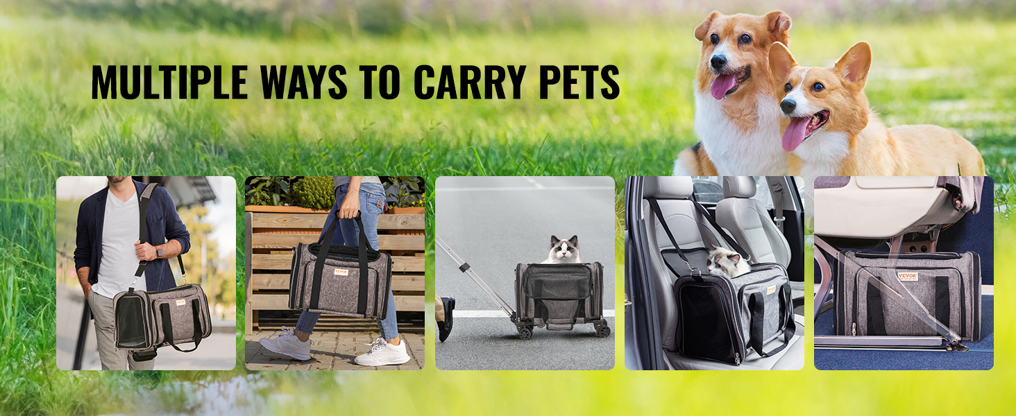 dog carrier airline approved