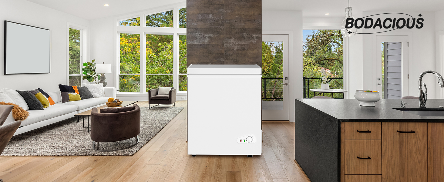 portable freezer for home