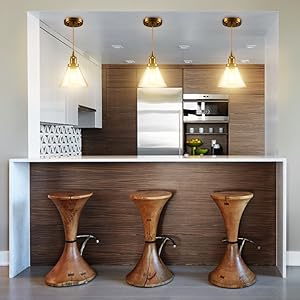 Adjustable Pendant Light