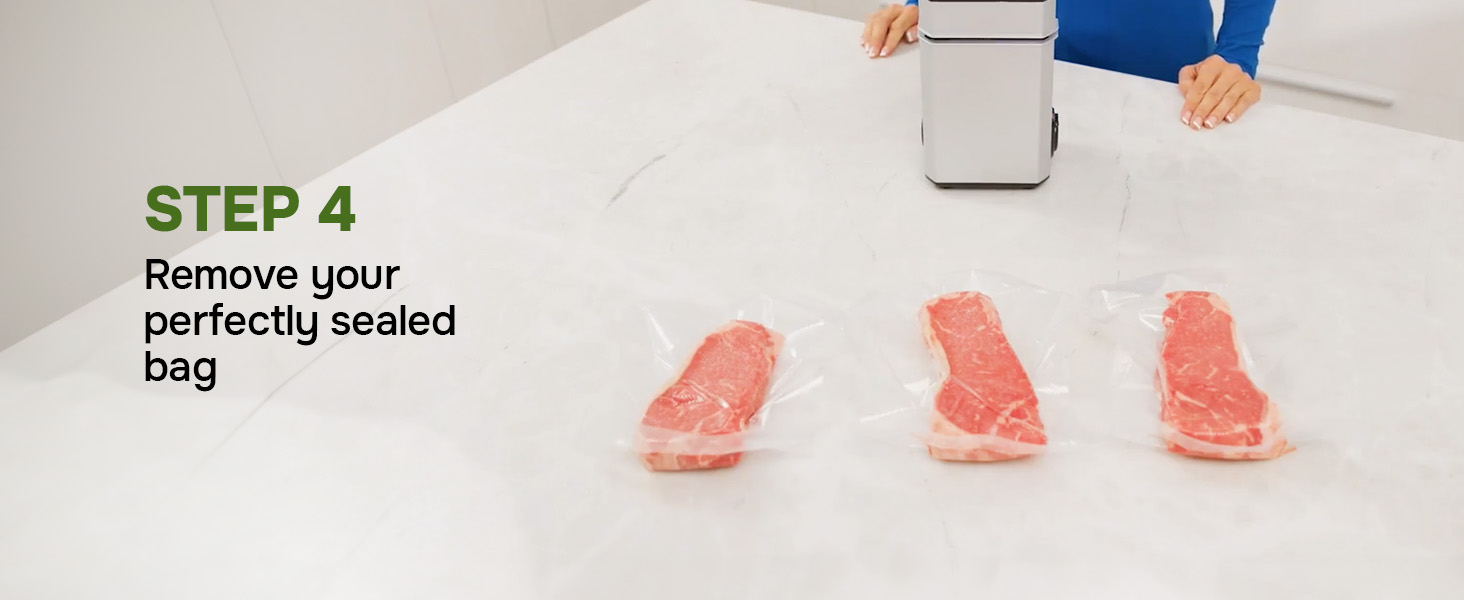 vacuum sealer food saver machine foodsaver for seal a meal nesco sealers vaccine vaccum sealing 