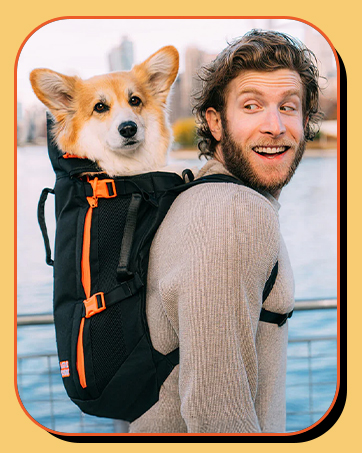 dog backpack cat carrier pet accessory travel bag front facing breathable lightweight holder 