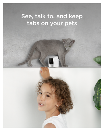 From the brand module1 2023