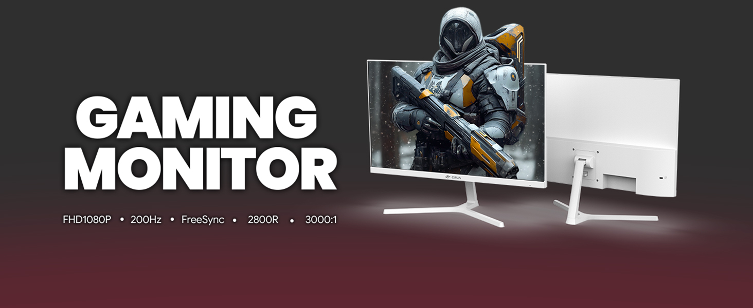 24 inch monitor