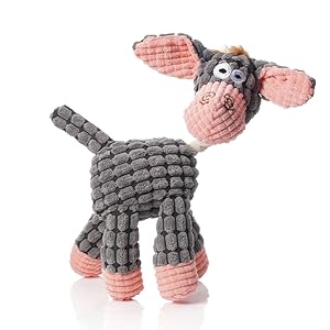 Small dog toy