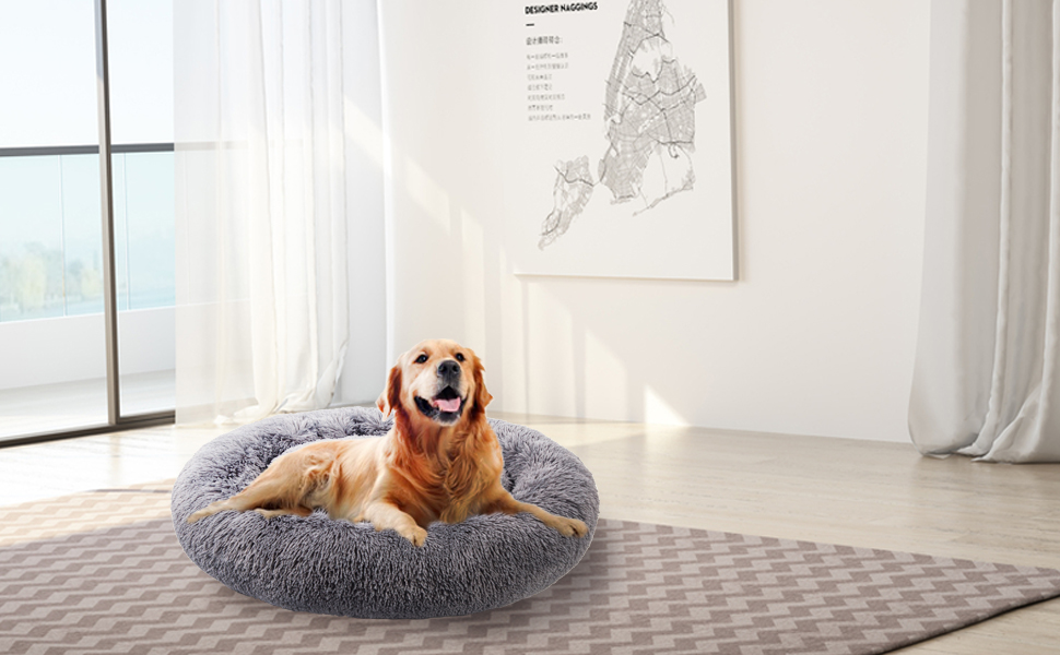 dog bed