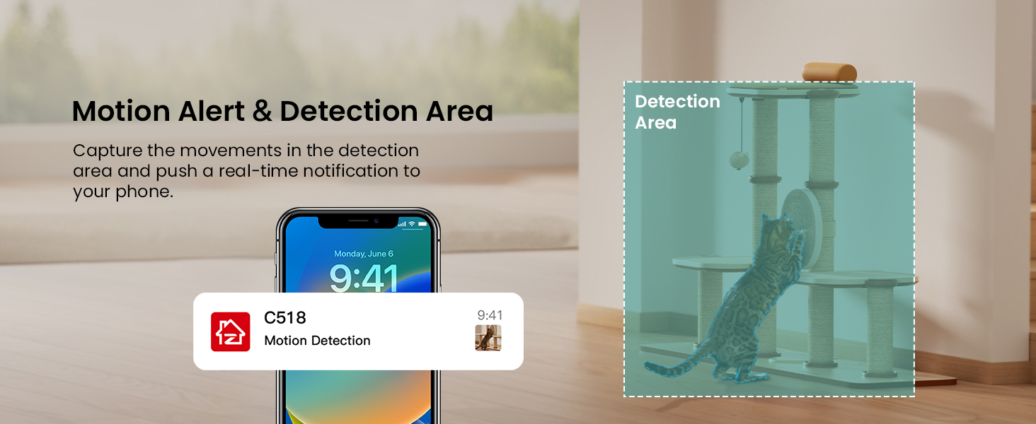 Motion Detection