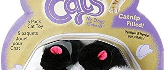 1743964567_61Cf0SlAkcS._AC_SL1200_.jpg