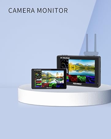 camera monitor