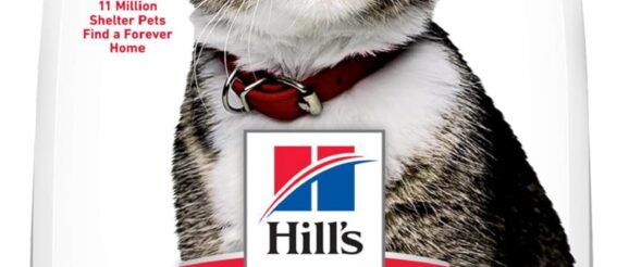 1744210079_81oiCxAGTTL._AC_SL1500_.jpg