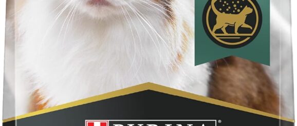 1744217413_81xamBMMCfL._AC_SL1500_.jpg