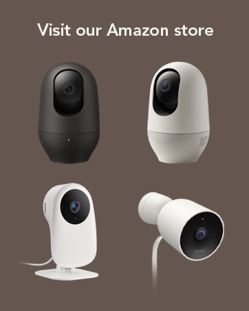 cameras