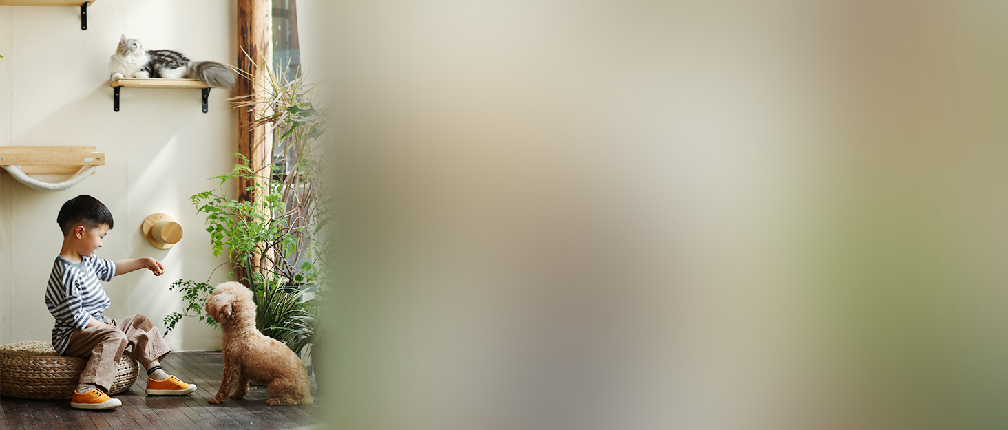 品牌故事 BANNER