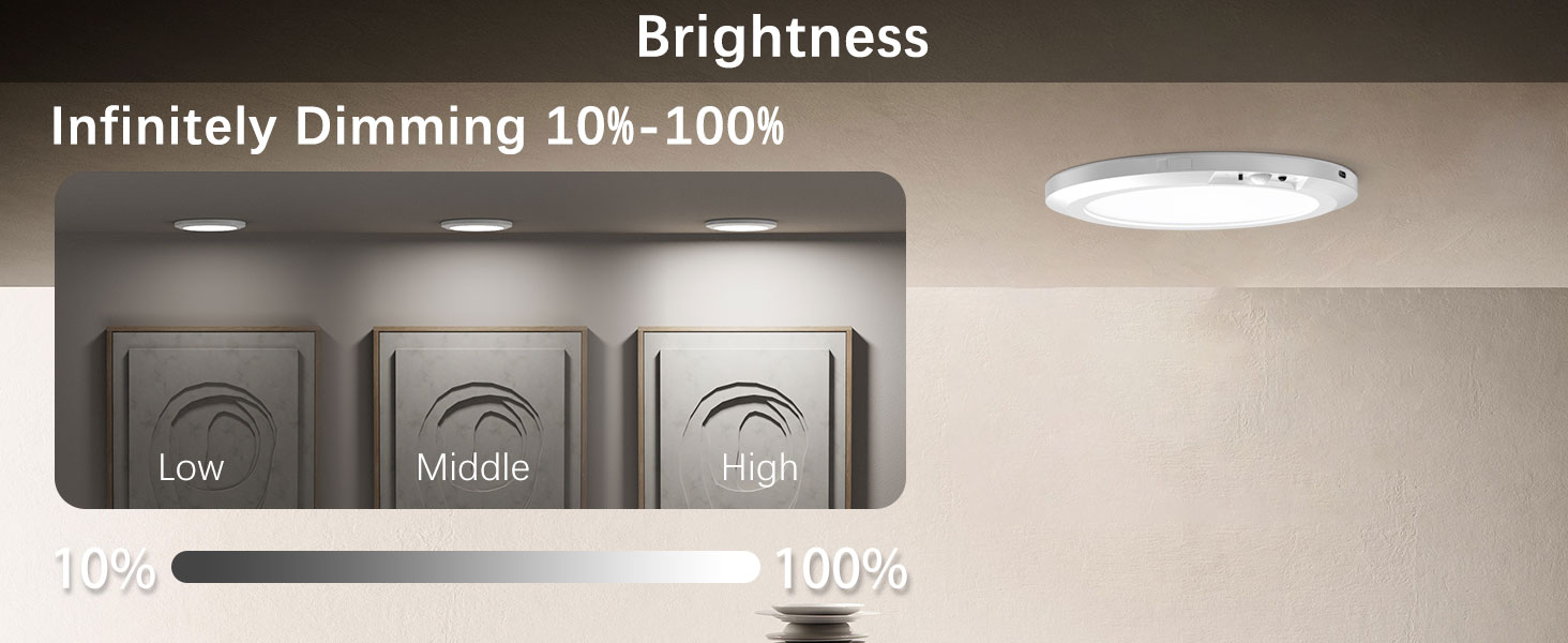 ceiling-mounted lamp