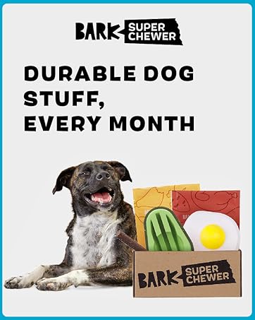 durable dog stuff, every month