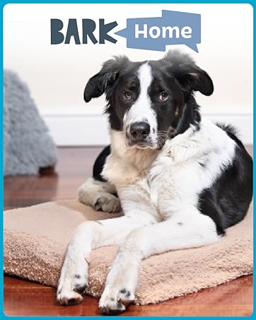 bark home