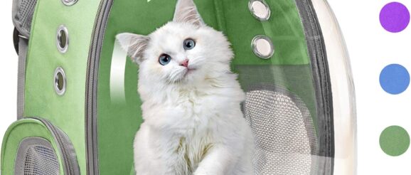1745661714_81ANbabksDL._AC_SL1500_.jpg