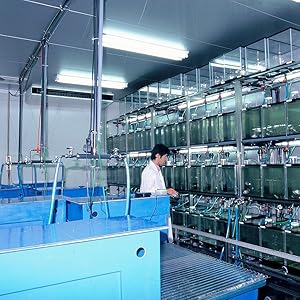 Lab