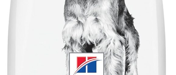 1745830470_81LPusoAEuL._AC_SL1500_.jpg