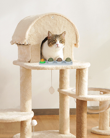 Catnip Ball for Cats Wall