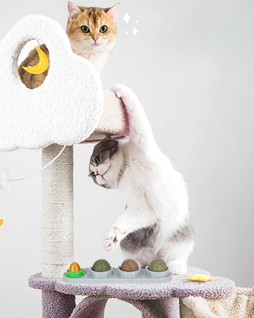 Catnip Ball for Cats Wall