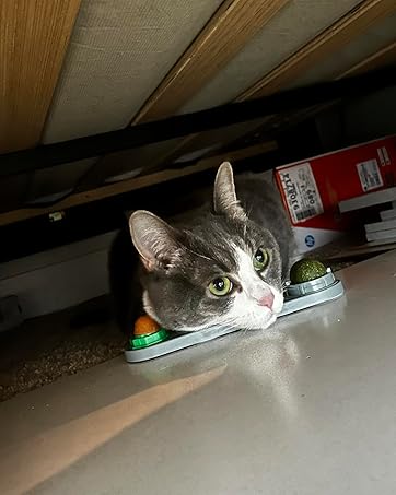 catnip balls