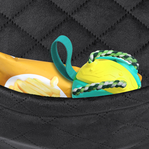 dog car seat