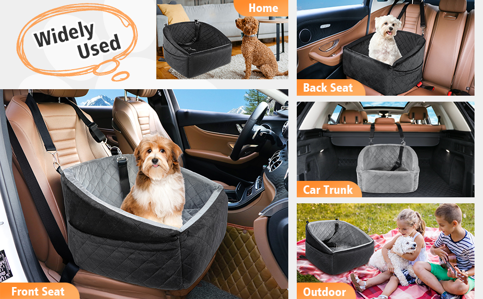 dog car seat