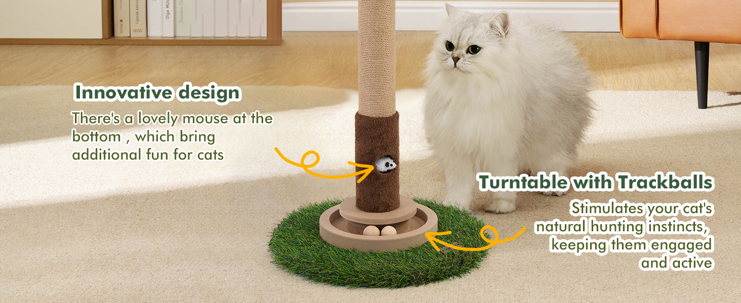 Scratcher with Cat Toy Mouse Hole for Large Cats Adults Cats