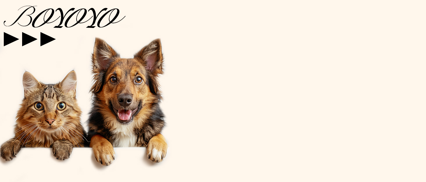 Pet toys