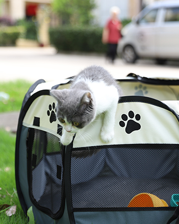 Sencone Cat/Kitten Playpen
