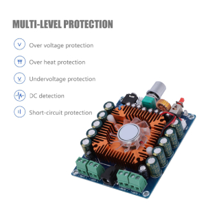 Digital Audio Amplifier Board