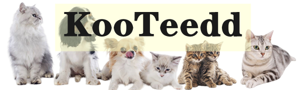 KooTeedd