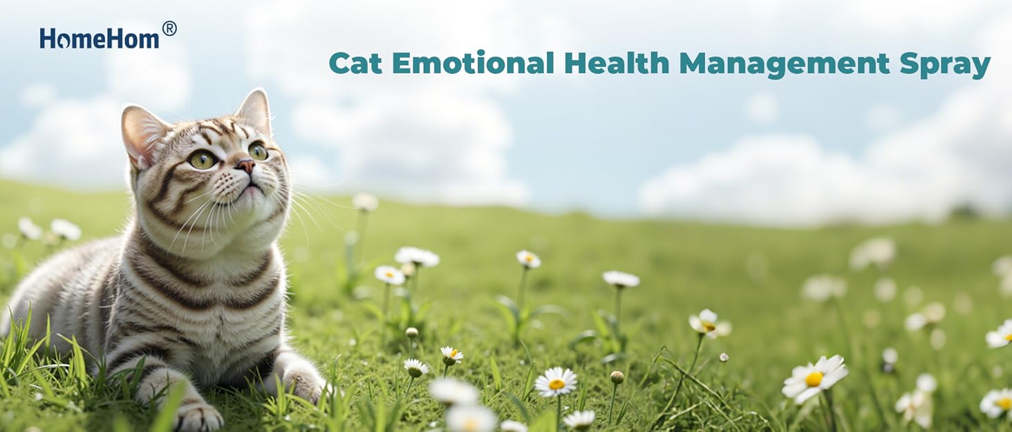 cat calming pheromone diffuser