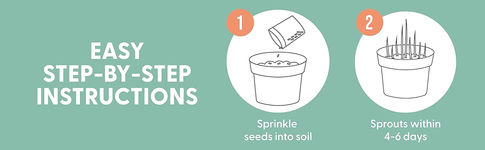instructions cat grass seeds growing