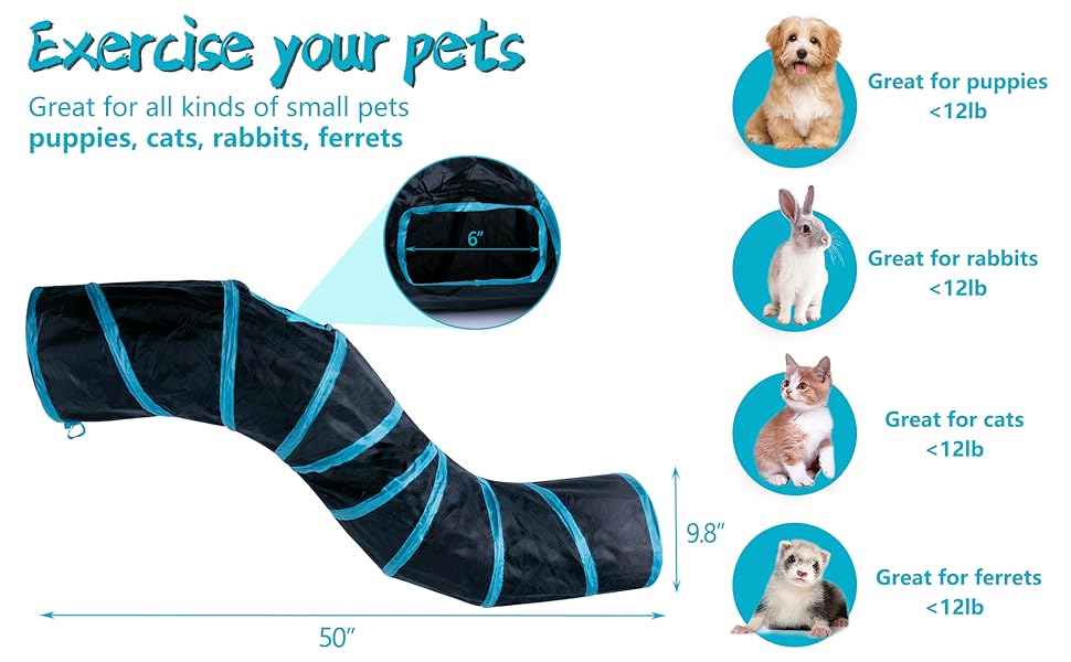 exercise your pets. like puppies, cats, rabbits, ferrets ect.
