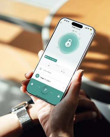 Wifi smart lock