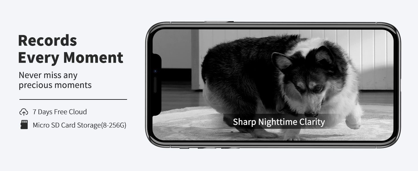 smart robot for pets