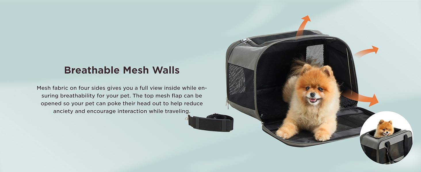 dog carrier