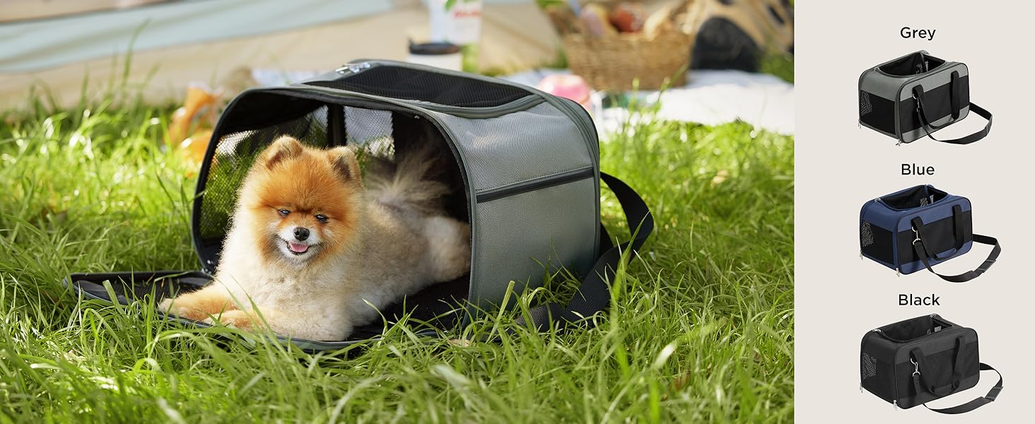 dog carrier