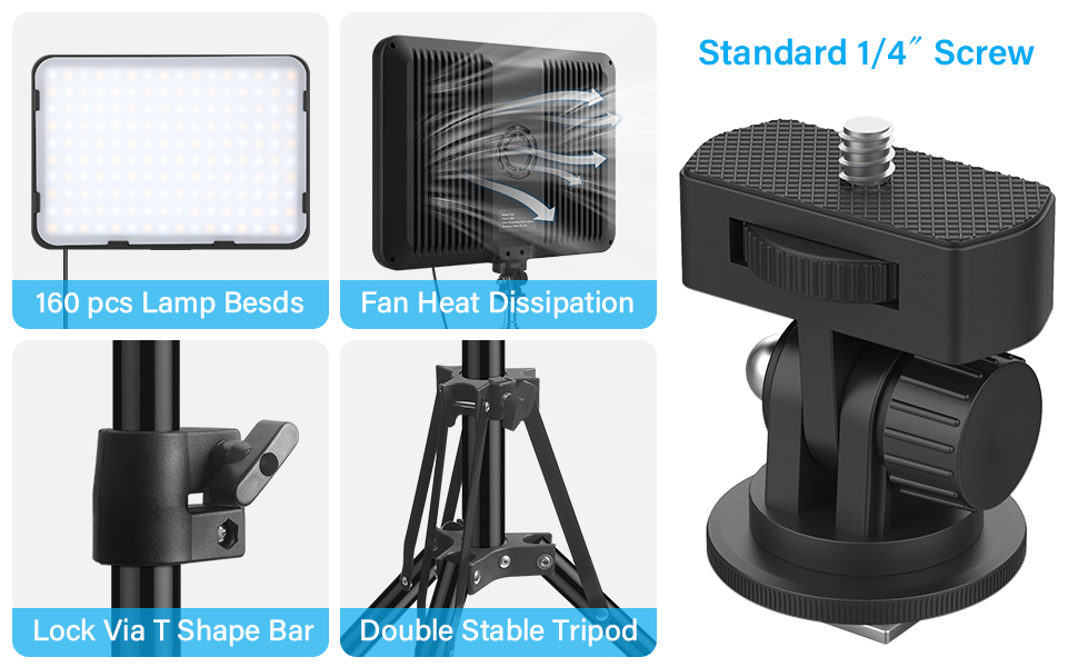 photo lights