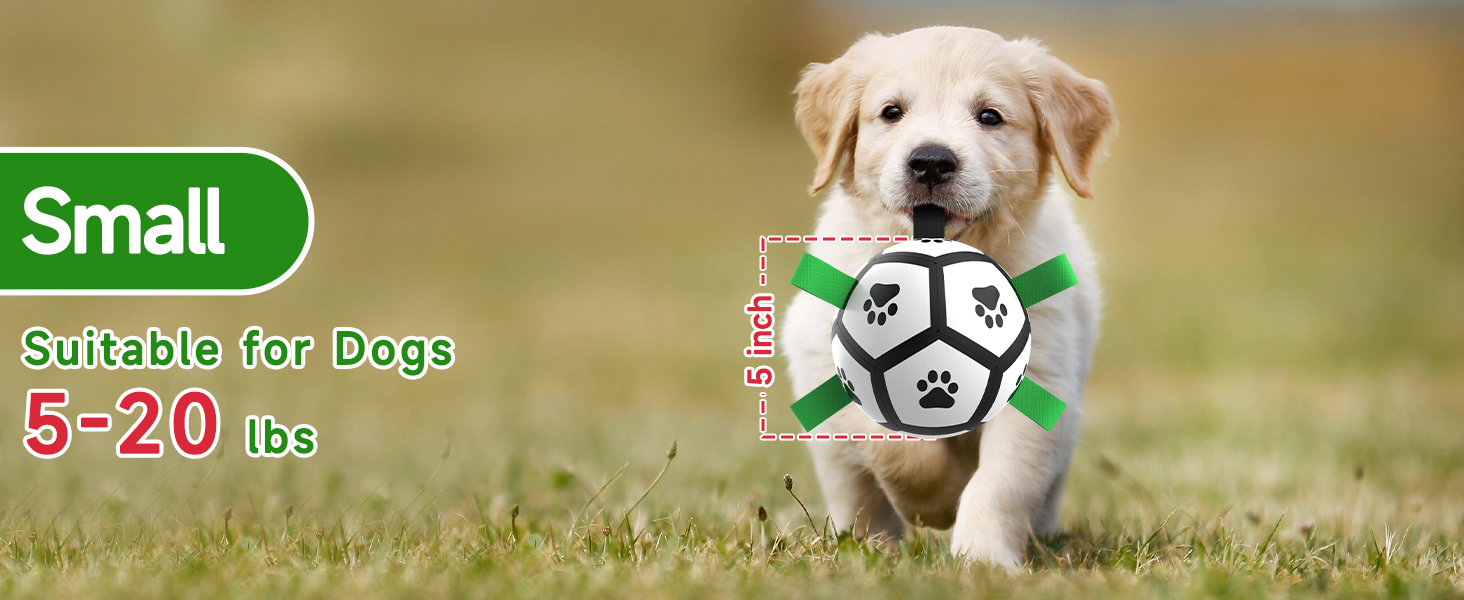 What Dog Soccer Ball Suitable Size For Dog
