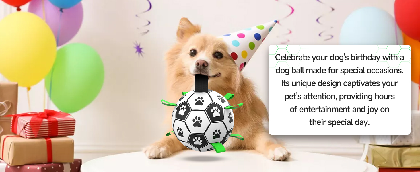 Dog Birthday Gifts
