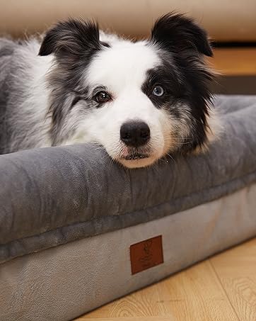 dog bed