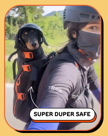 dog backpack cat carrier pet accessory travel bag front facing breathable lightweight holder 