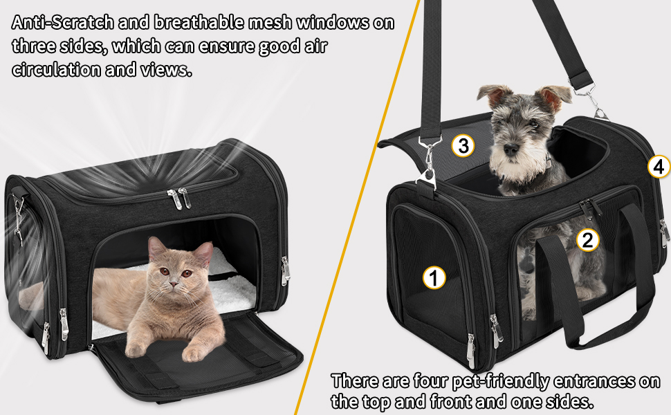cat dog pet carrier A2
