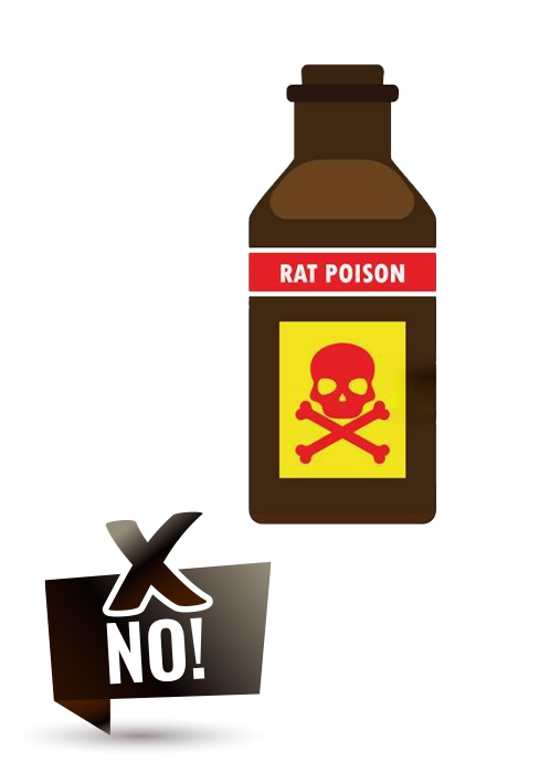 rodent poison