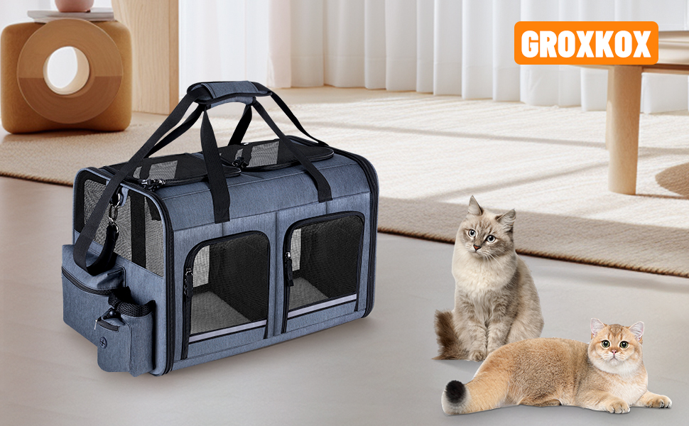 Dual Cat Carrier
