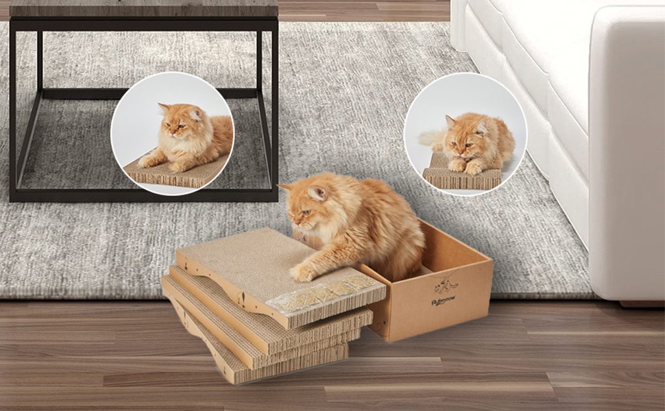 cardboard ca scratcher