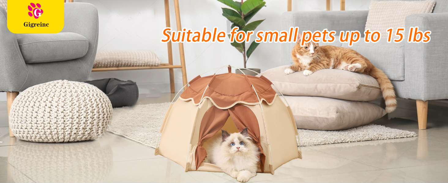 cat tent