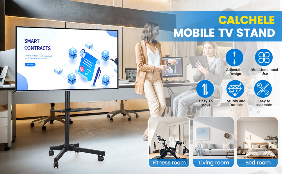 Mobile TV Stand
